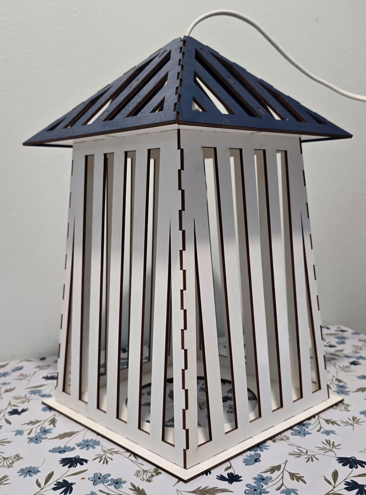 Badhytt Kattovalaisin