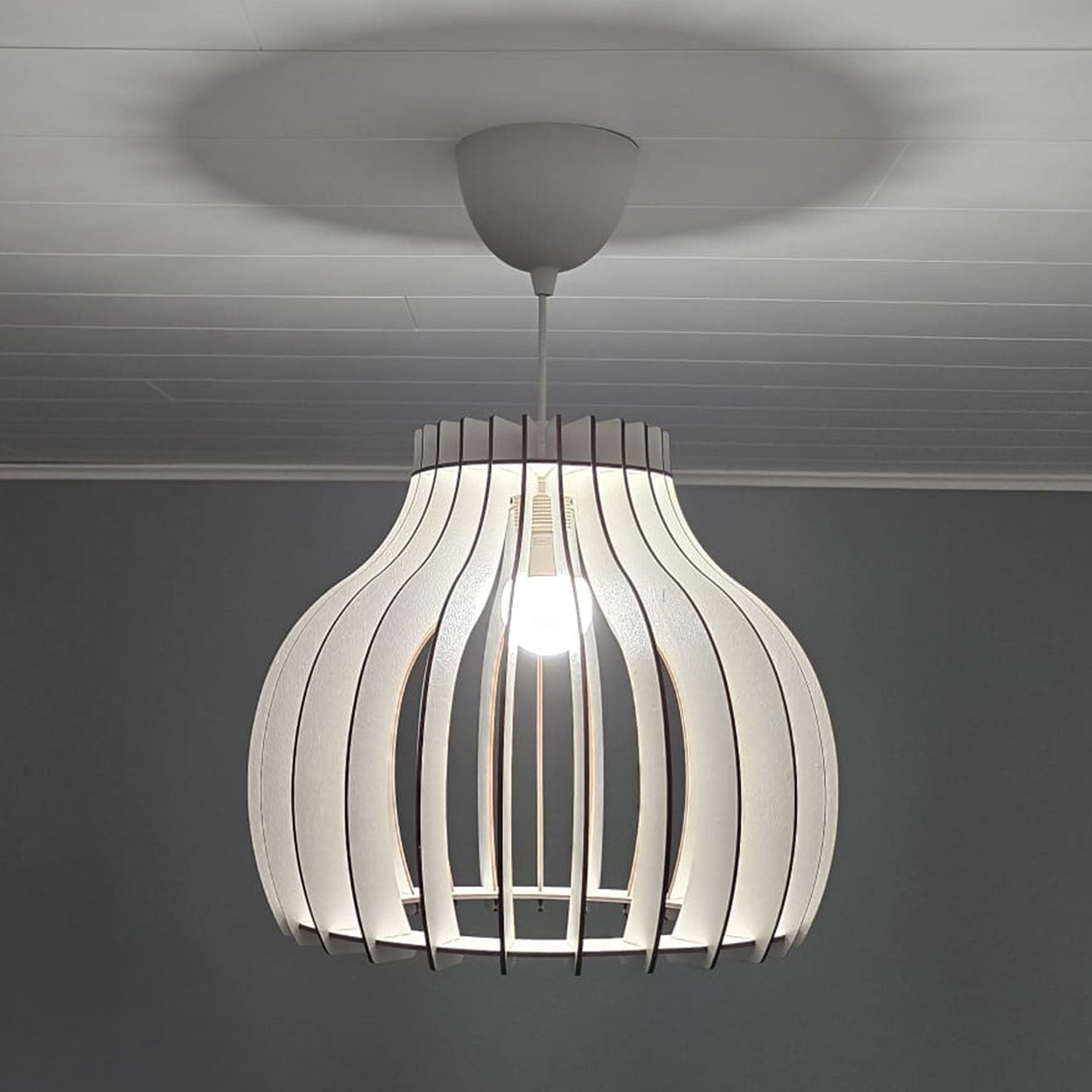 The Aurora Pendant Lamp